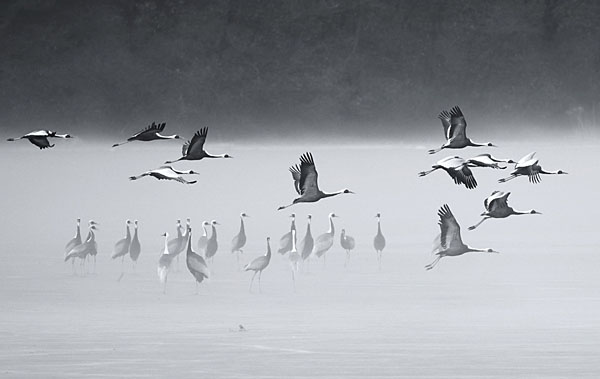 Photograph Suk Eun Kim Time Of Parting on One Eyeland